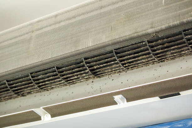 Best Local Air Duct Cleaning Services  in Tatum, TX